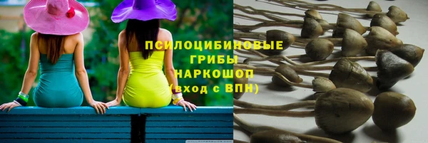стаф Куйбышев
