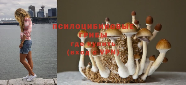 марки nbome Кукмор