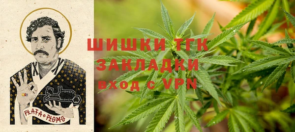 стафф Коряжма