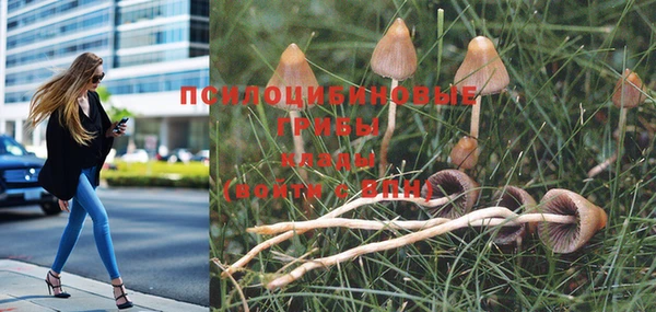 марки nbome Кукмор