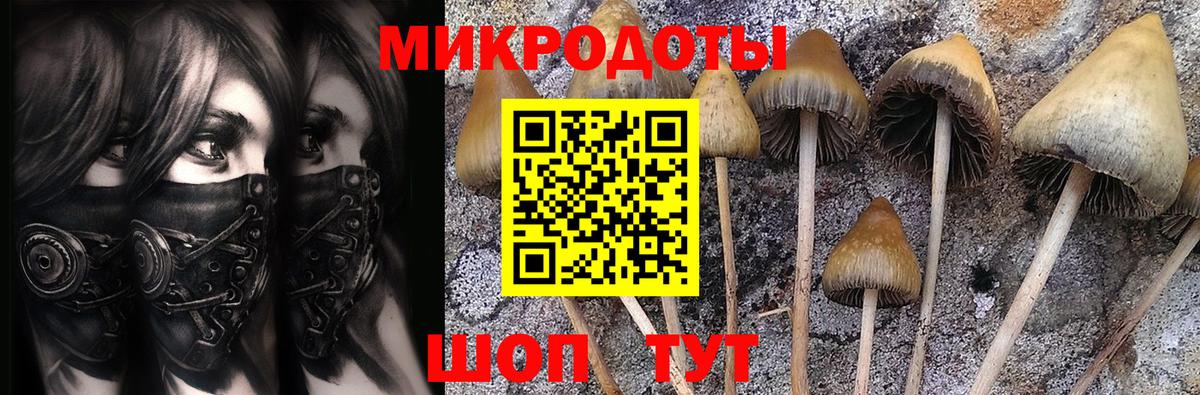 Галлюциногенные грибы мухоморы Соликамск