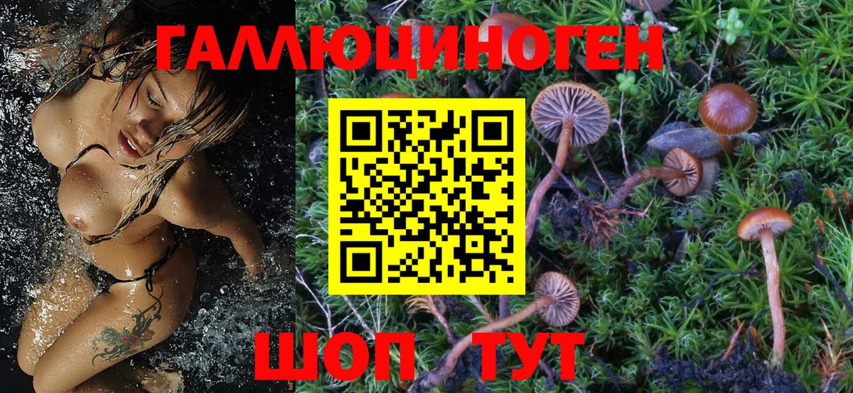 Псилоцибиновые грибы Psilocybine cubensis Соликамск