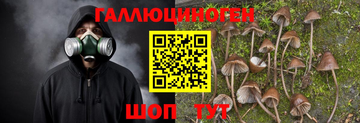 Соликамск  Псилоцибиновые грибы GOLDEN TEACHER  Галлюциногенные грибы мухоморы  Вход с VPN 